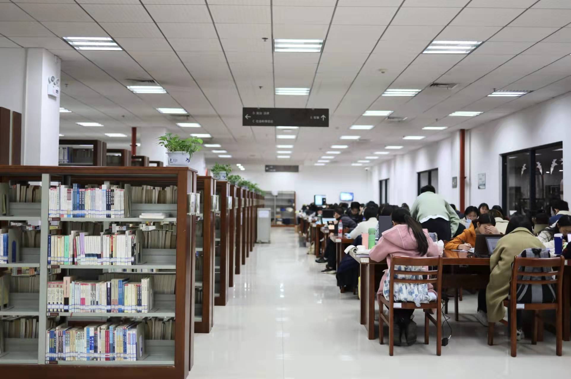 饲料饲养疫病防治《中国牛业科学》期刊杂志：论文发表投稿与评价